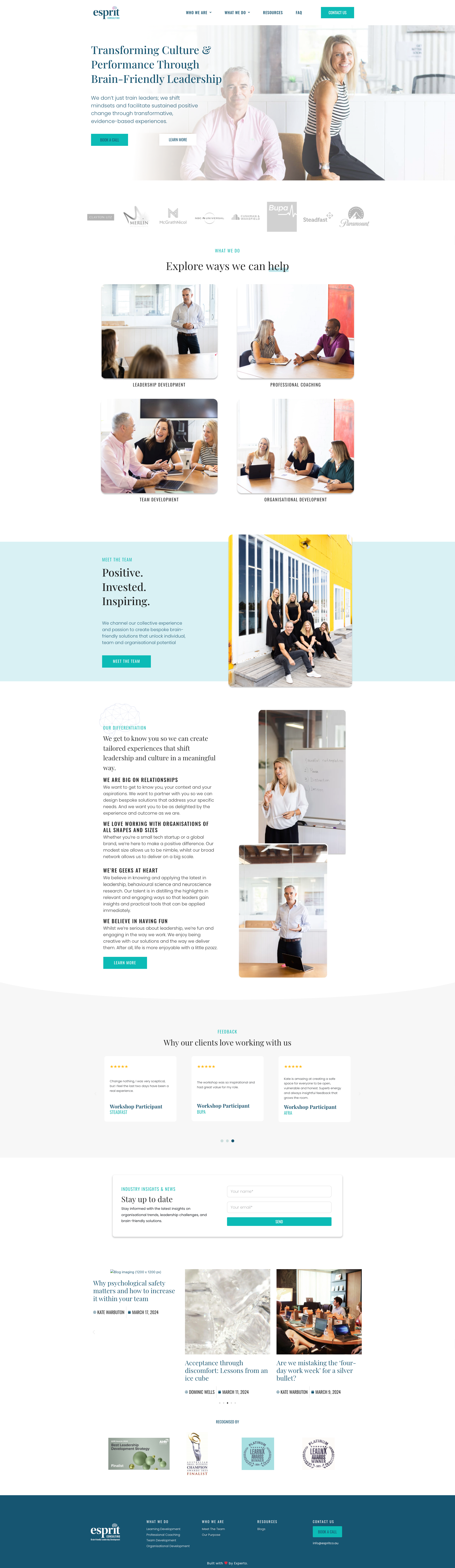 Esprit Consulting website after rebrand